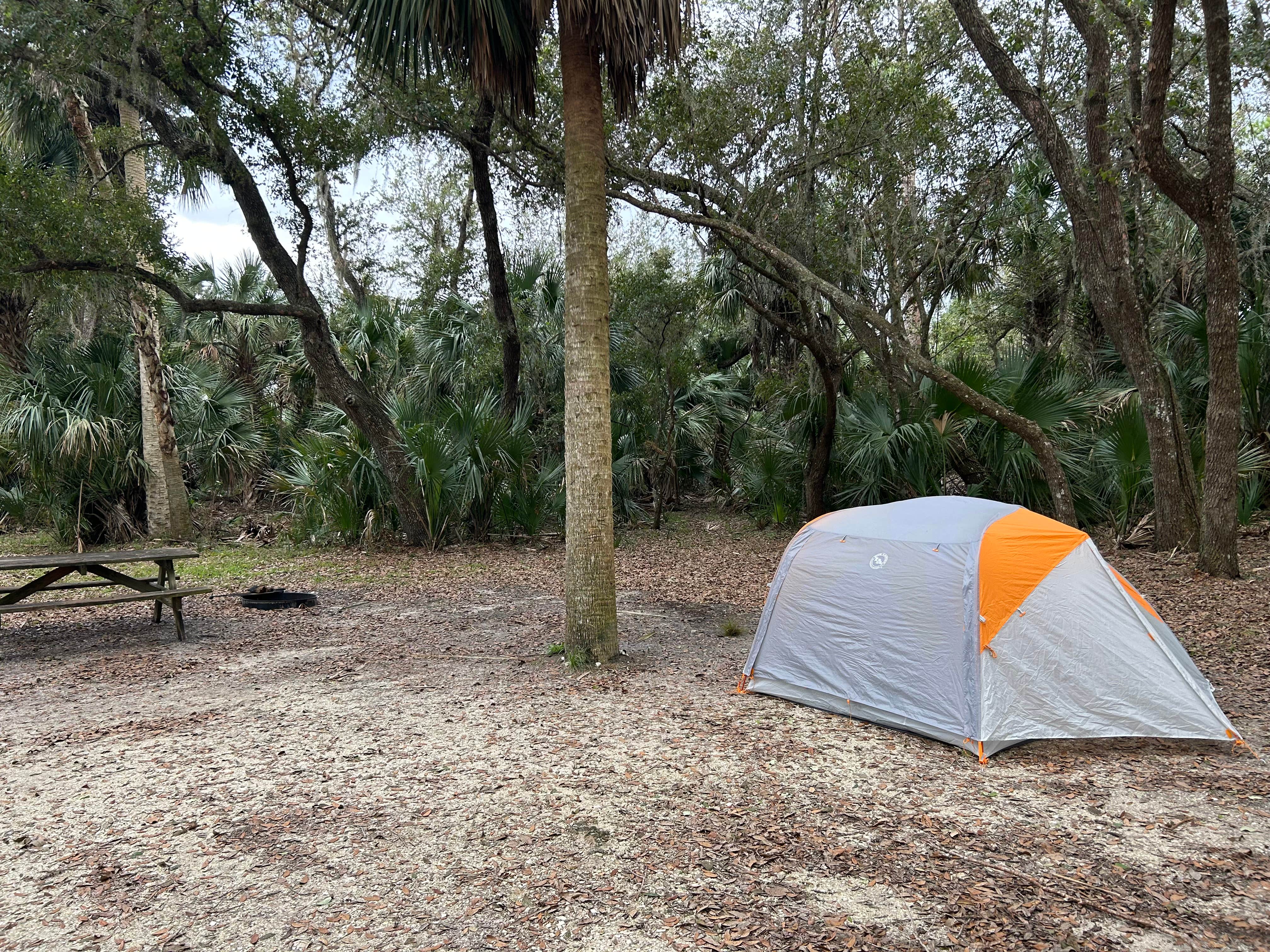 Ryan B.'s photo at Kilpatrick Hammock Campground — Kissimmee Prairie Preserve State Park near Grant, FL