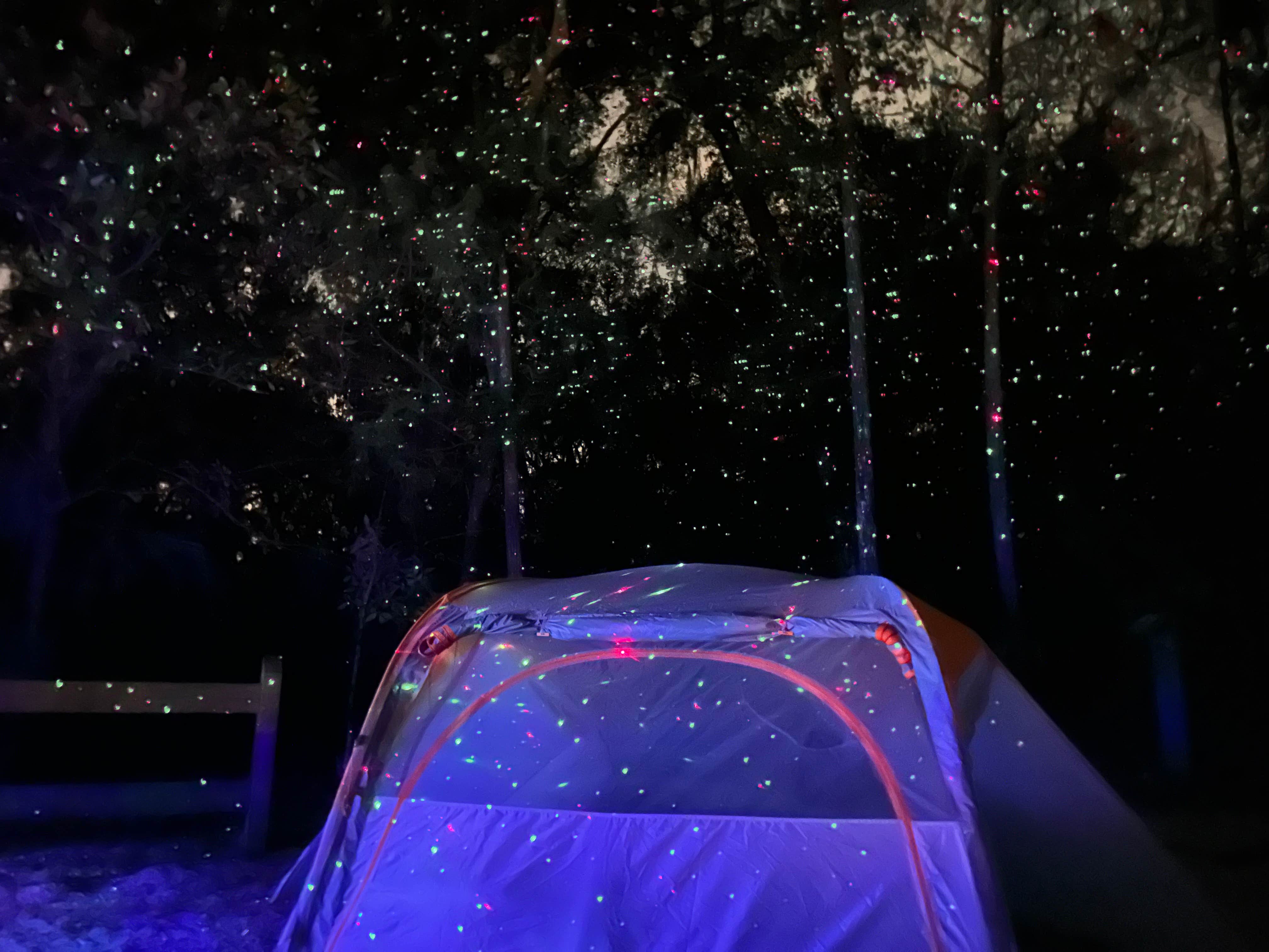 Ryan B.'s photo at Lake Griffin State Park Campground near Belleview, FL