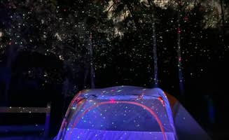 Ryan B.'s photo at Lake Griffin State Park Campground near Tavares, FL