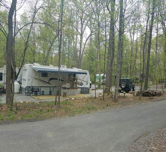 Camper-submitted photo from Elk Neck State Park Campground