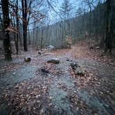 Review photo of George Washington National Forest off 812 by Ryan L., December 24, 2022