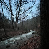 Review photo of George Washington National Forest off 812 by Ryan L., December 24, 2022