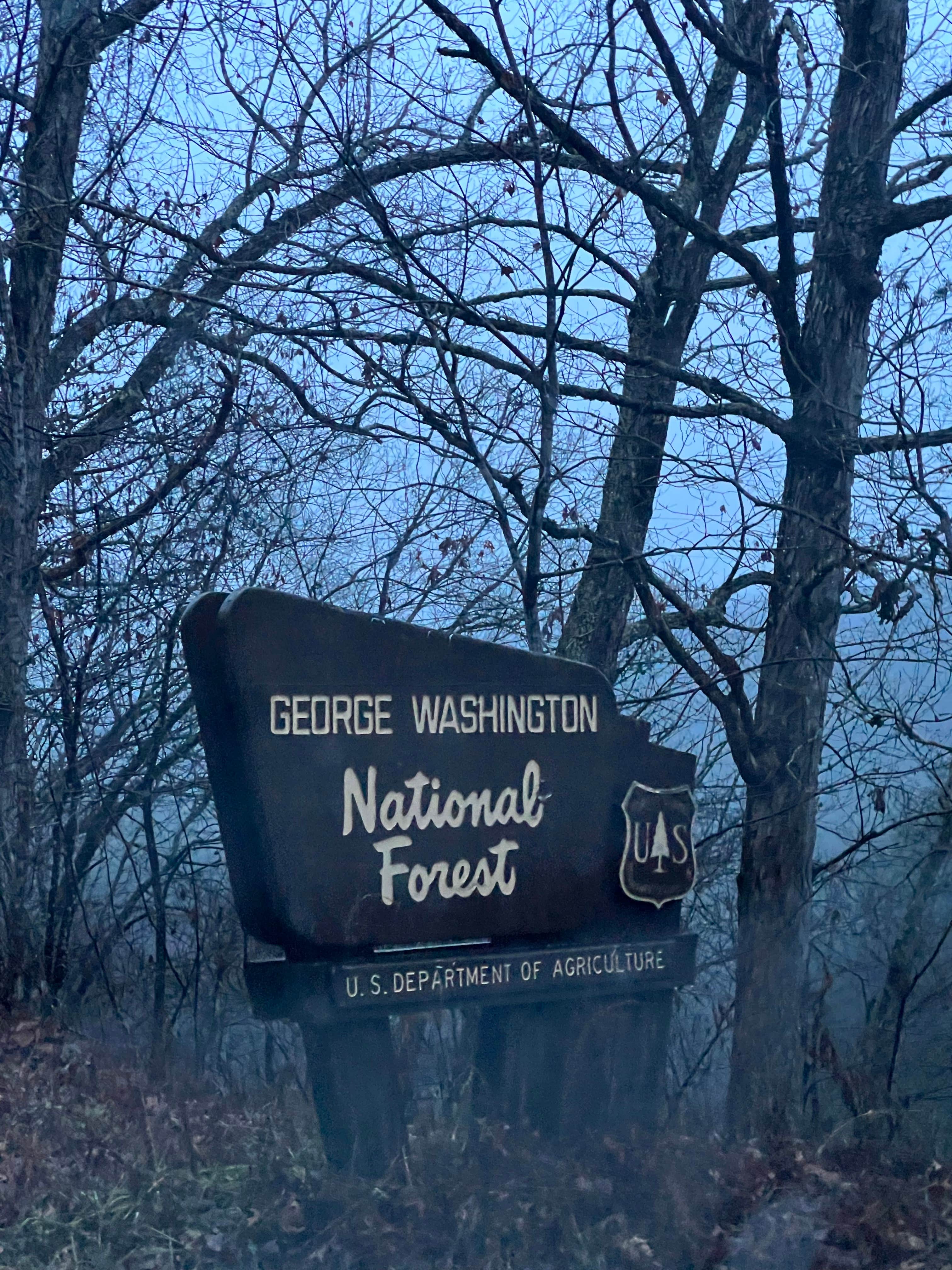 Camper submitted image from George Washington National Forest off 812 - 5