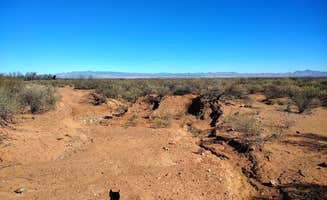 Rob D.'s photo of camping with pets at Desert Oasis Campground near Tombstone, AZ