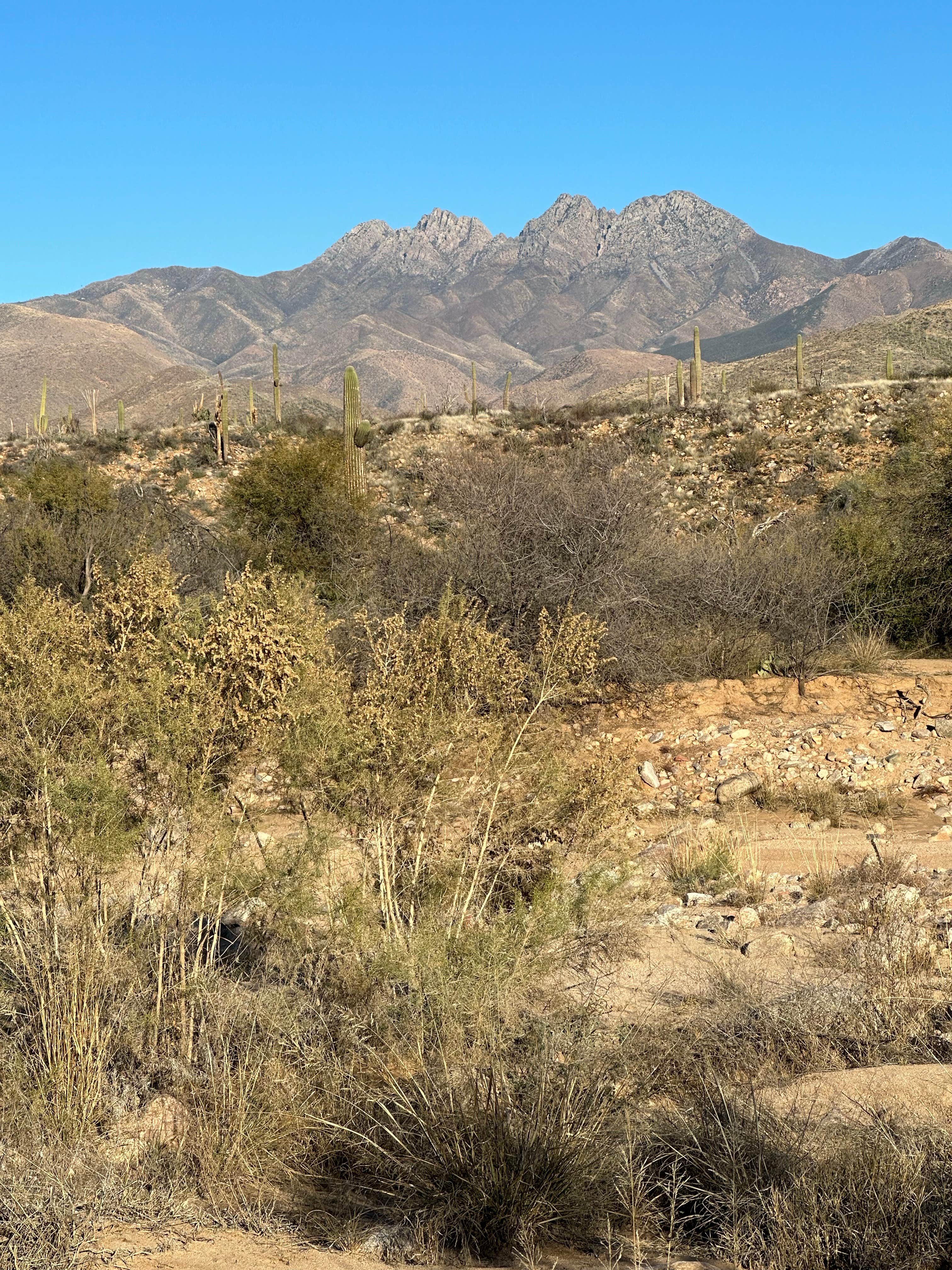 Camper-submitted photo at Stewart's Camp near Fort Mcdowell, AZ