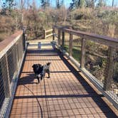 Review photo of Blue Hole Campground — Florida Caverns State Park by Kevin H., December 25, 2022