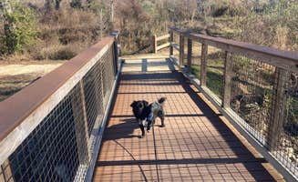 Kevin H.'s photo of camping with pets at Blue Hole Campground — Florida Caverns State Park near Blakely, GA