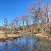 Review photo of Blue Hole Campground — Florida Caverns State Park by Kevin H., December 25, 2022