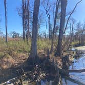 Review photo of Blue Hole Campground — Florida Caverns State Park by Kevin H., December 25, 2022