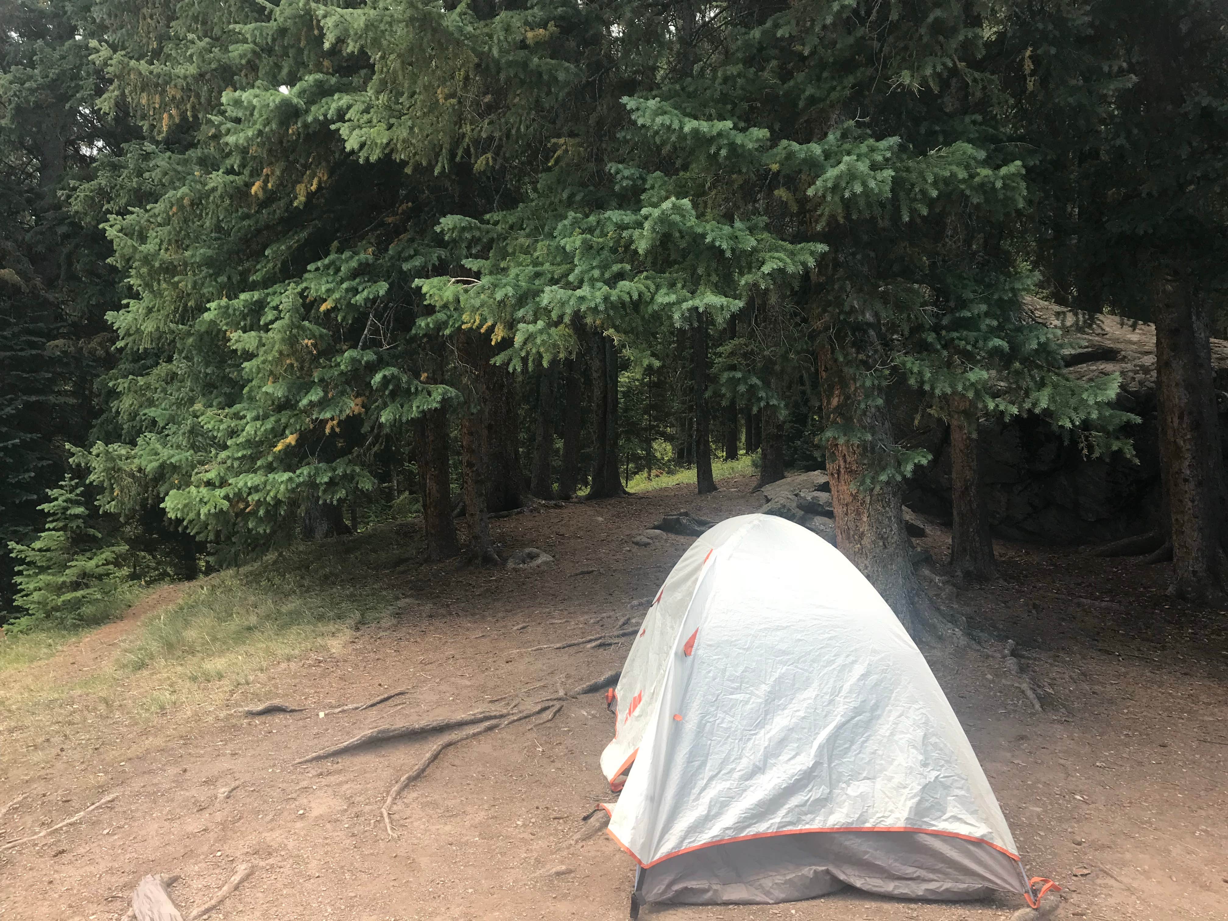 Camper-submitted photo at Yeoman Park near Snowmass Village, CO