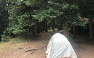 Lord of A.'s photo of a dispersed camping area at Yeoman Park near Eagle, CO