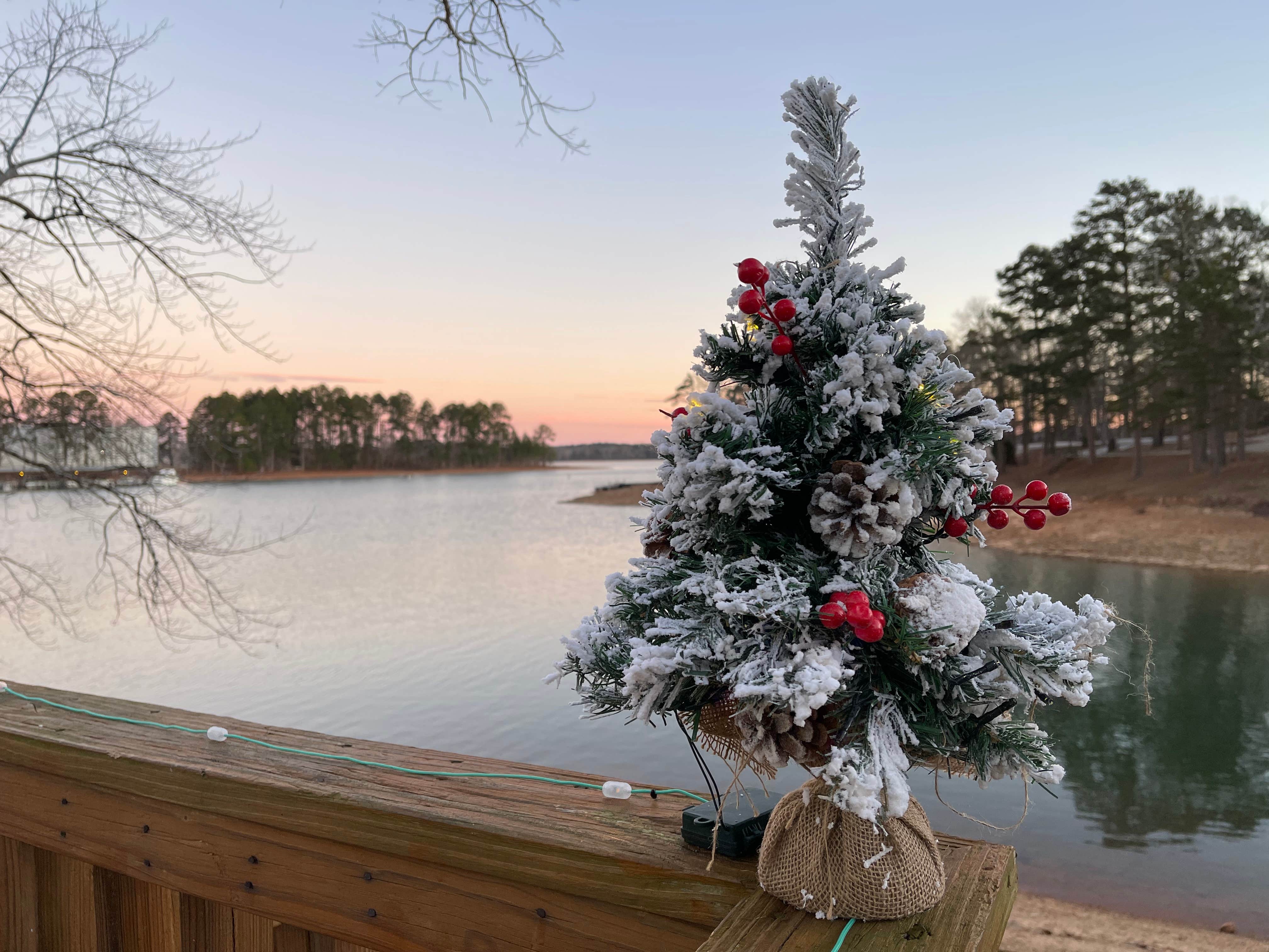 Camper submitted image from Hartwell Lakeside KOA Holiday - 1