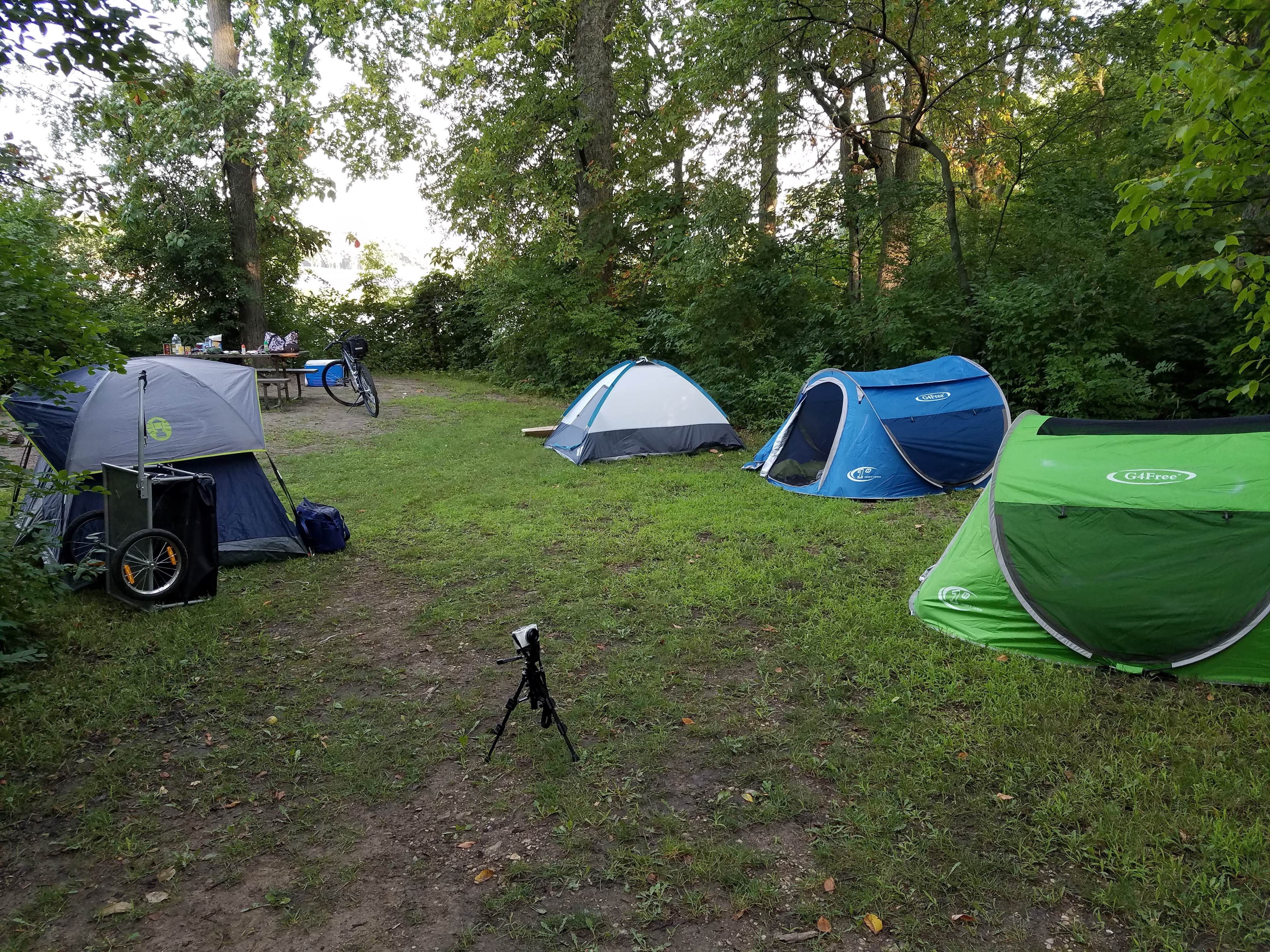 Camper submitted image from McKinley Woods: Frederick's Grove - 2
