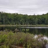 Review photo of Half Moon Pond State Park Campground by M.A.D. P., December 26, 2022