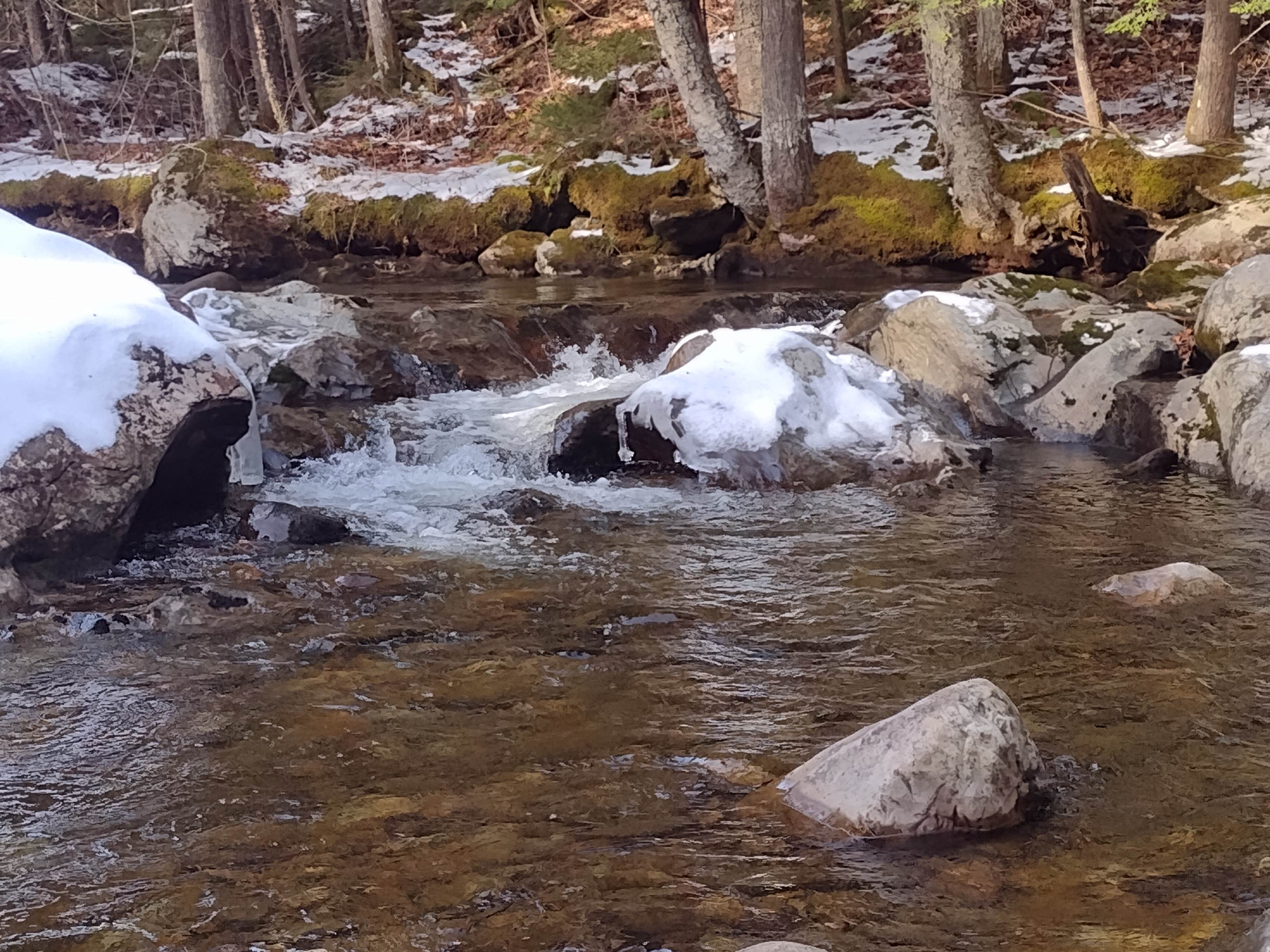 Camper-submitted photo at Bingo near Poultney, VT