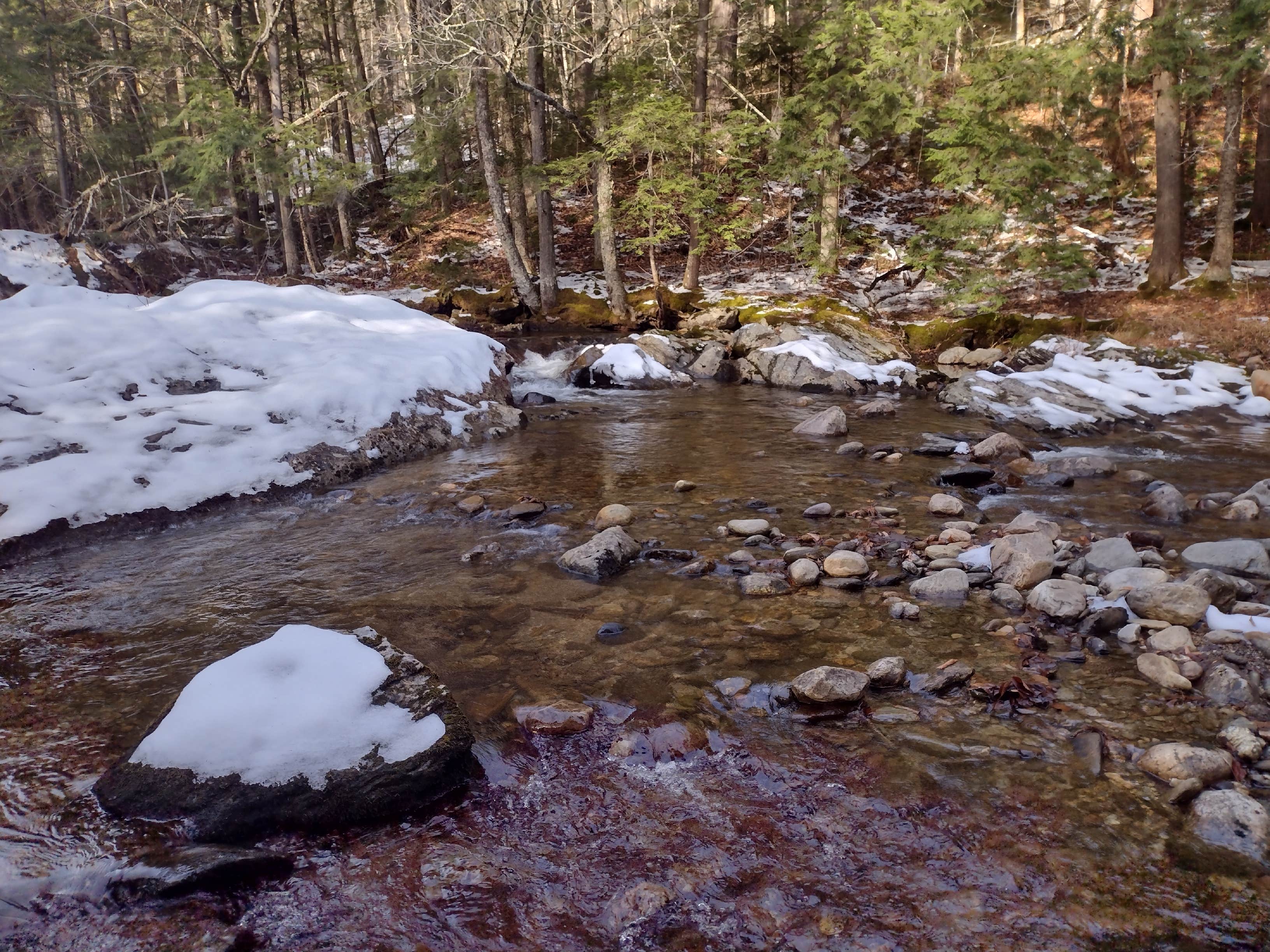 Camper-submitted photo at Bingo near Poultney, VT