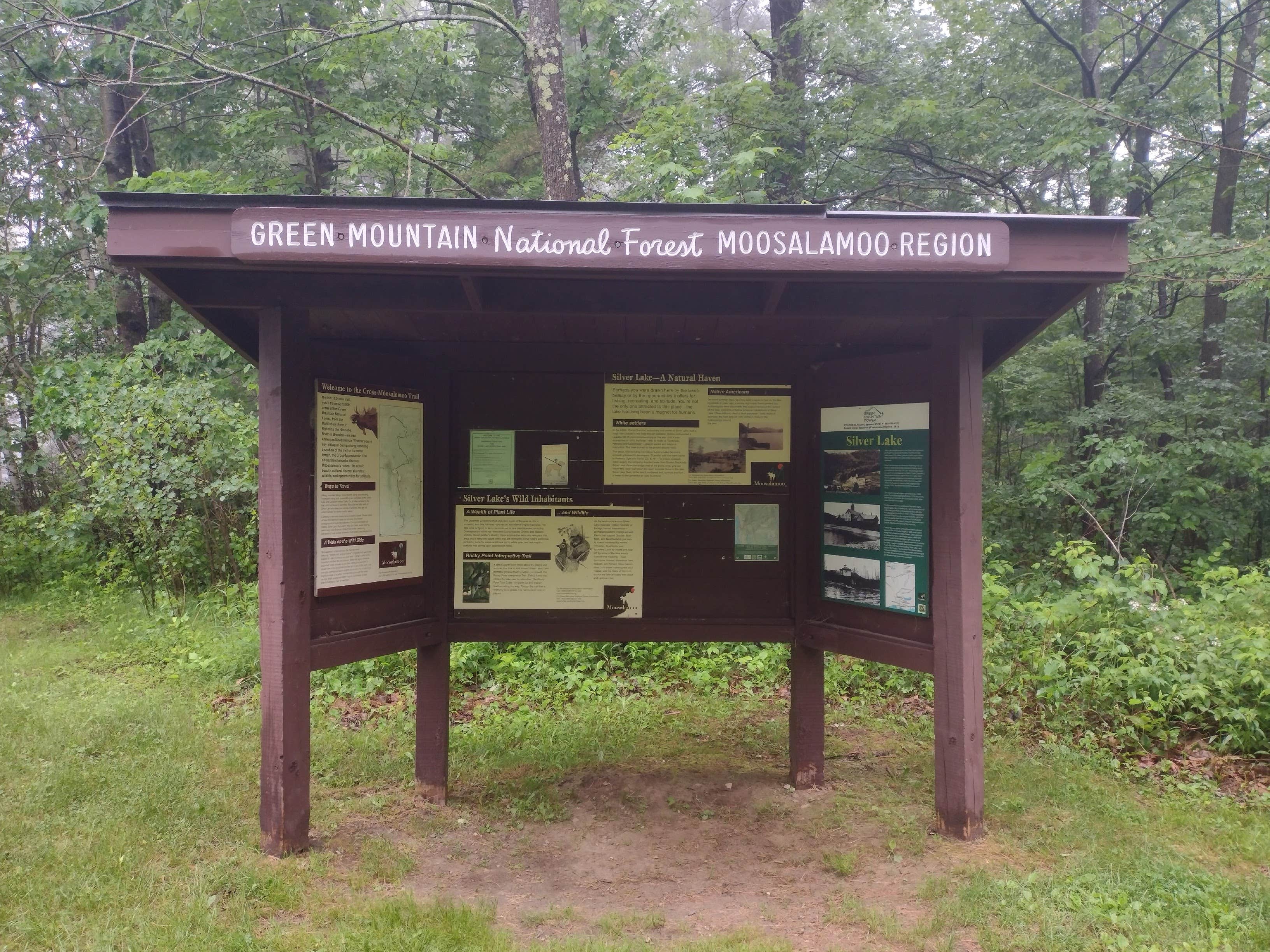 Camper-submitted photo at Silver Lake Campground near Brandon, VT