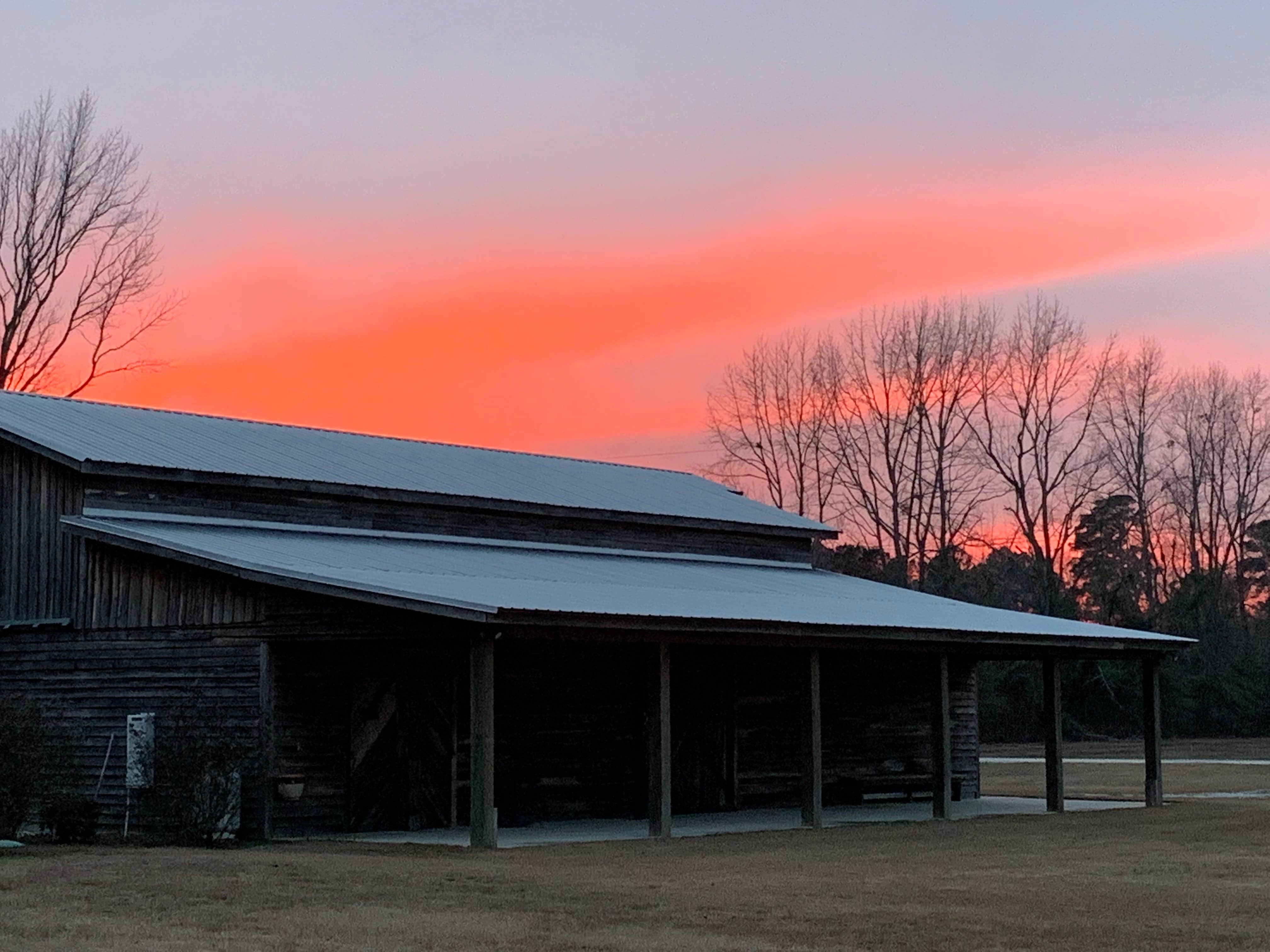 Camper-submitted photo at Double C Farm near Coward, SC