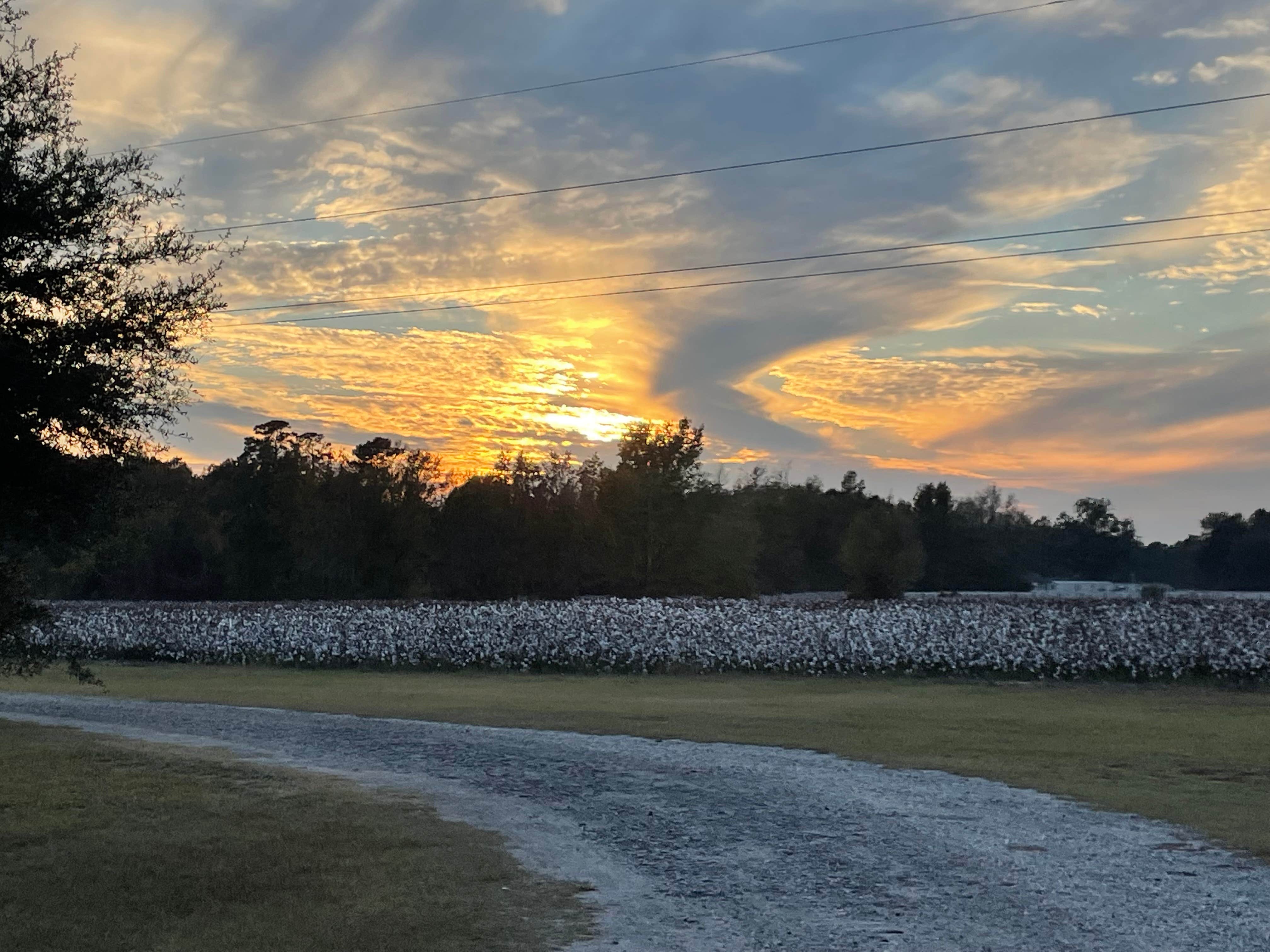 Camper-submitted photo at Double C Farm near Coward, SC