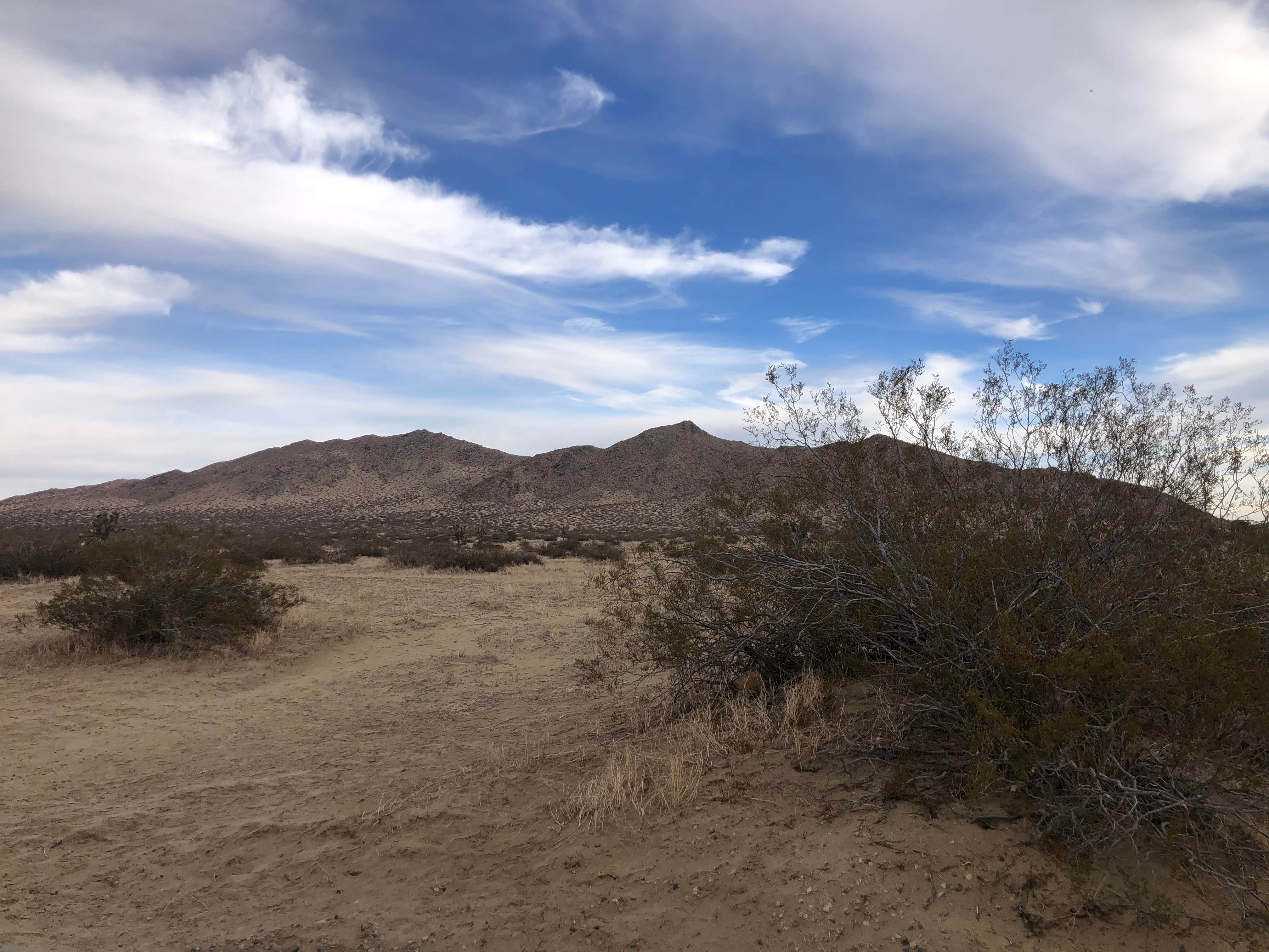 Camper-submitted photo at Saddleback Butte State Park Campground near Pearblossom, CA
