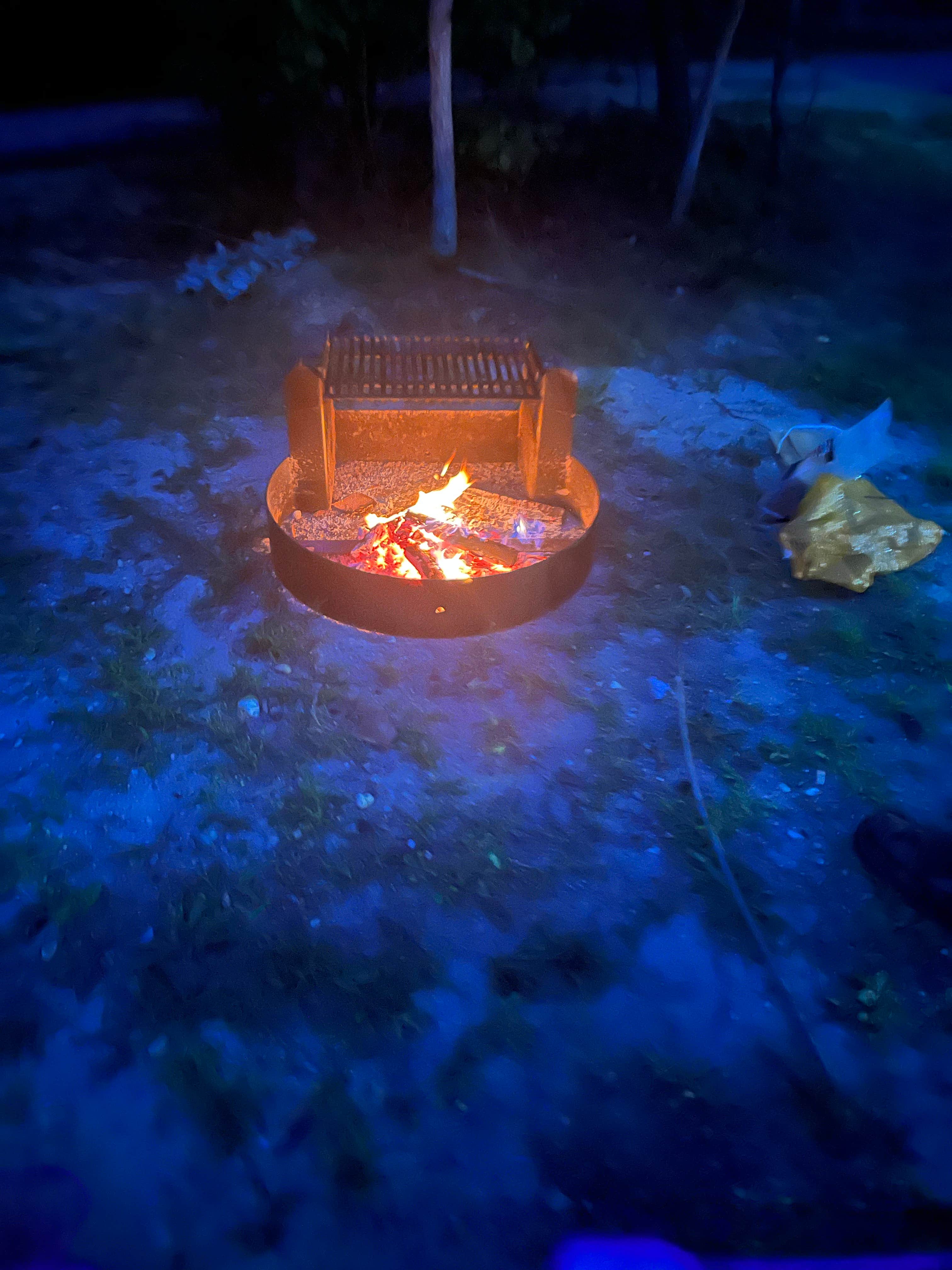 Camper-submitted photo at Belleplain State Forest near Downe, NJ