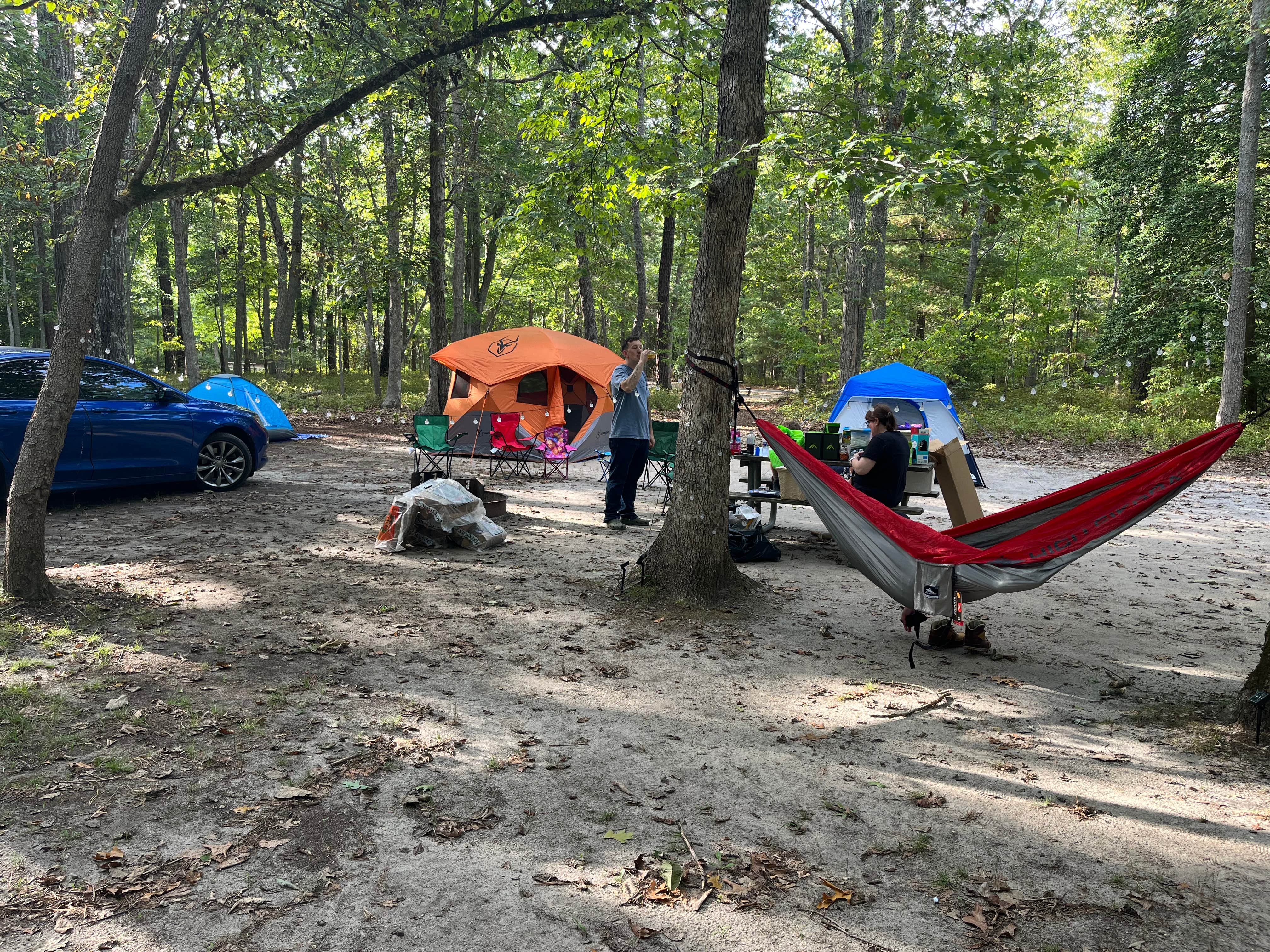 Camper submitted image from Belleplain State Forest - 5