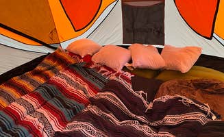 Kaitlin B.'s photo of glamping accommodations at Belleplain State Forest near Smyrna, DE