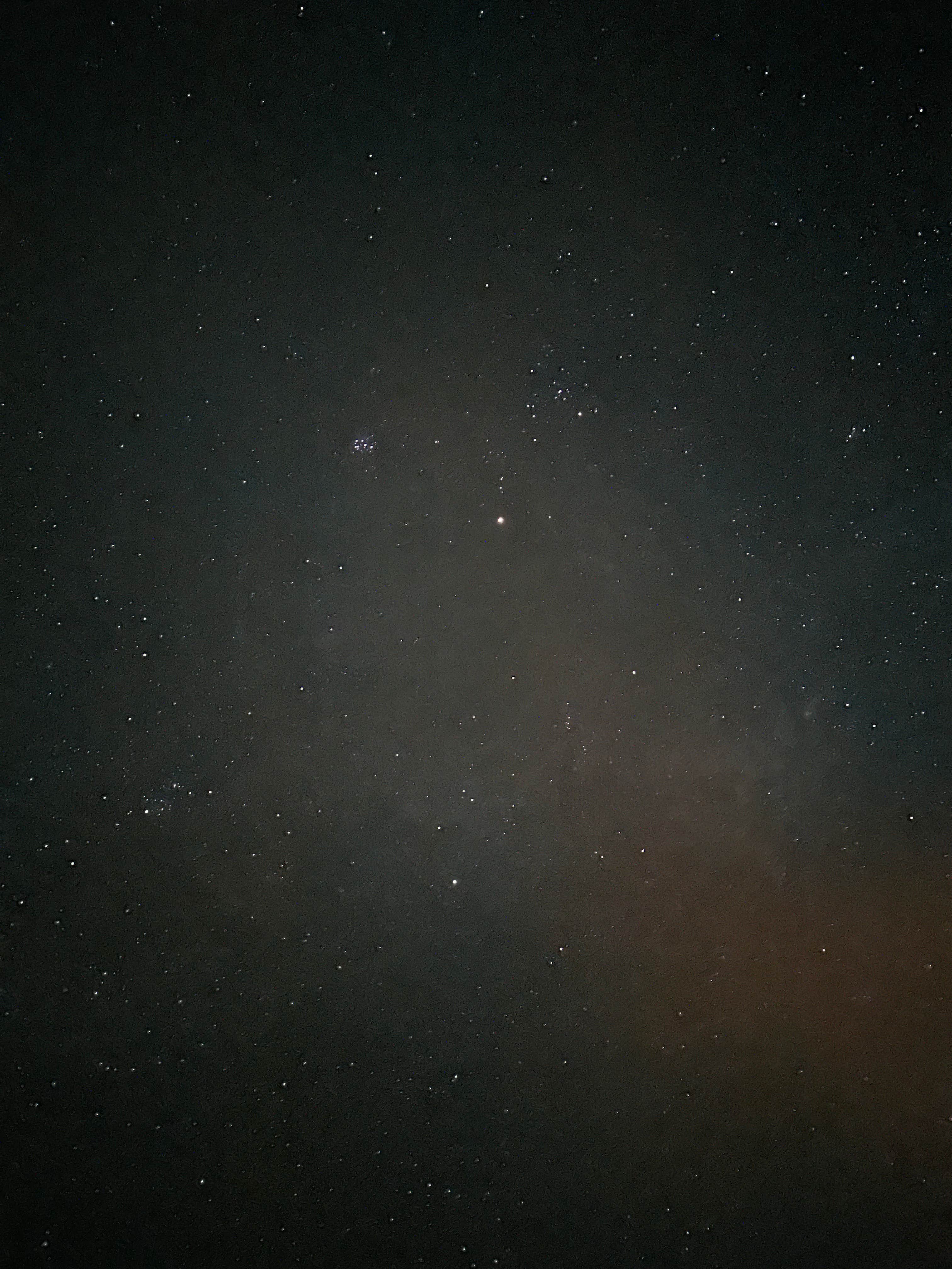 Camper-submitted photo at Paradise PFA near Adel, GA