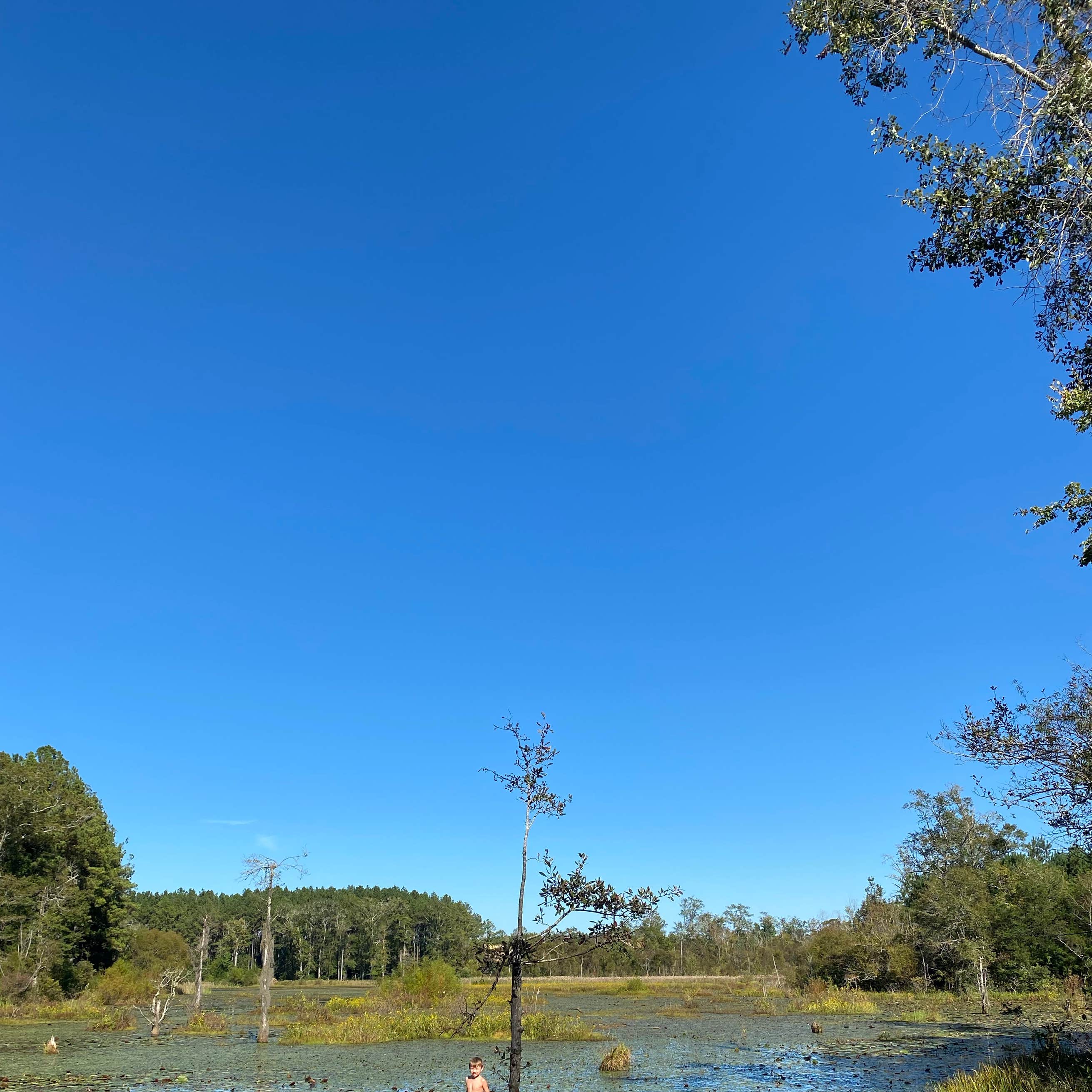 Boggs and Boulders Camping | Wing, AL