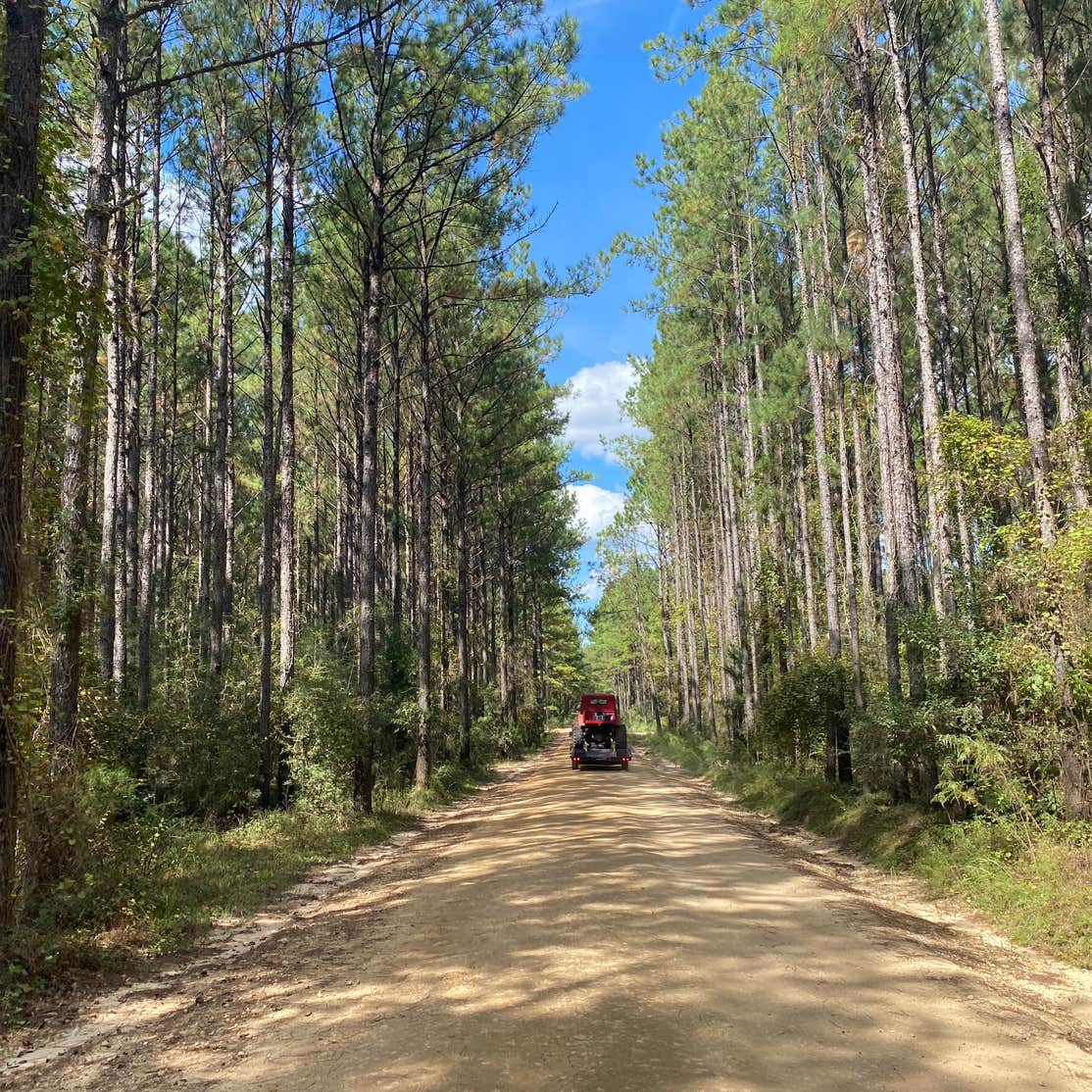Boggs and Boulders Camping | The Dyrt
