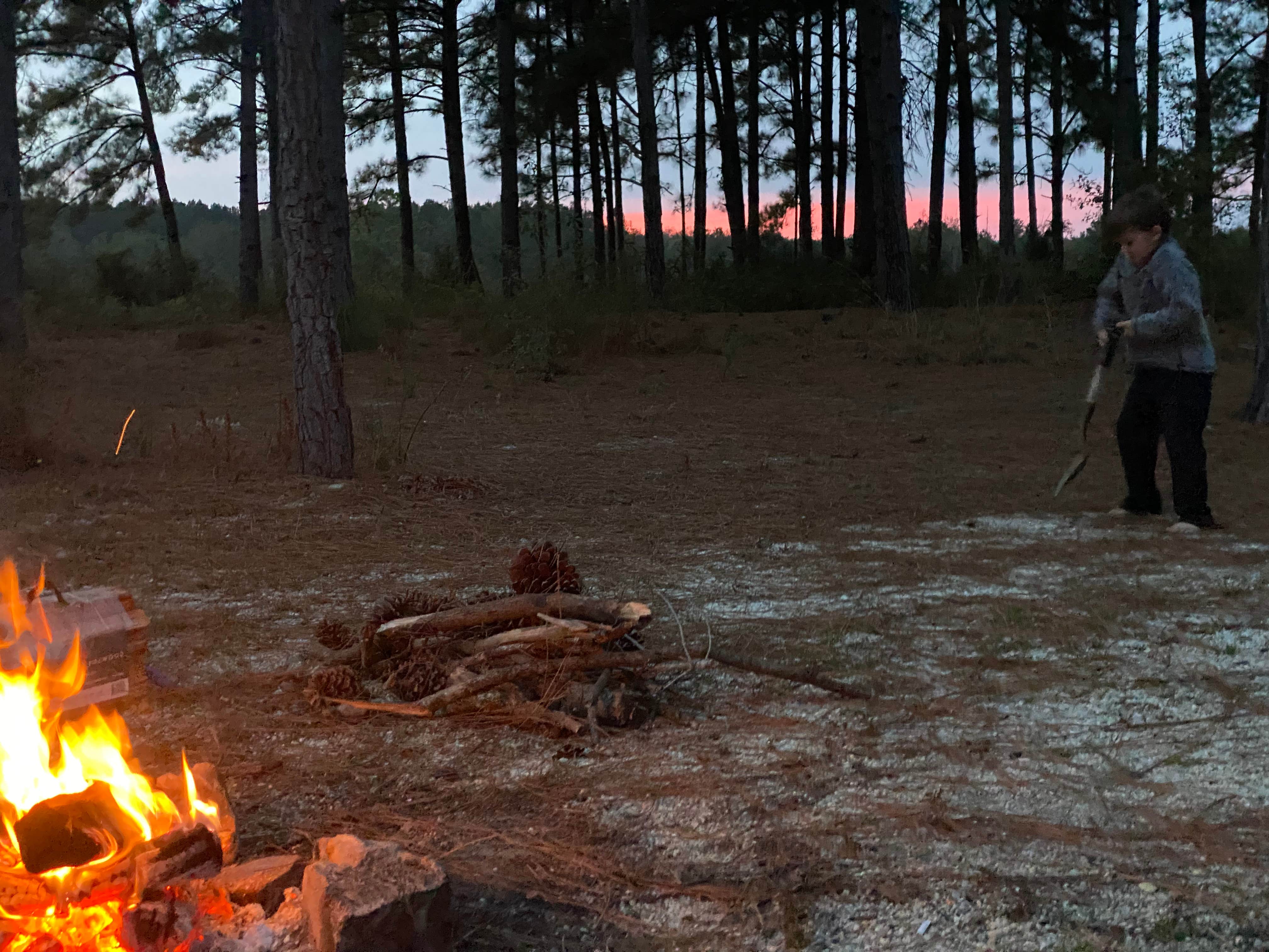 Camper-submitted photo at Magnolia Branch Wildlife Reserve near Uriah, AL