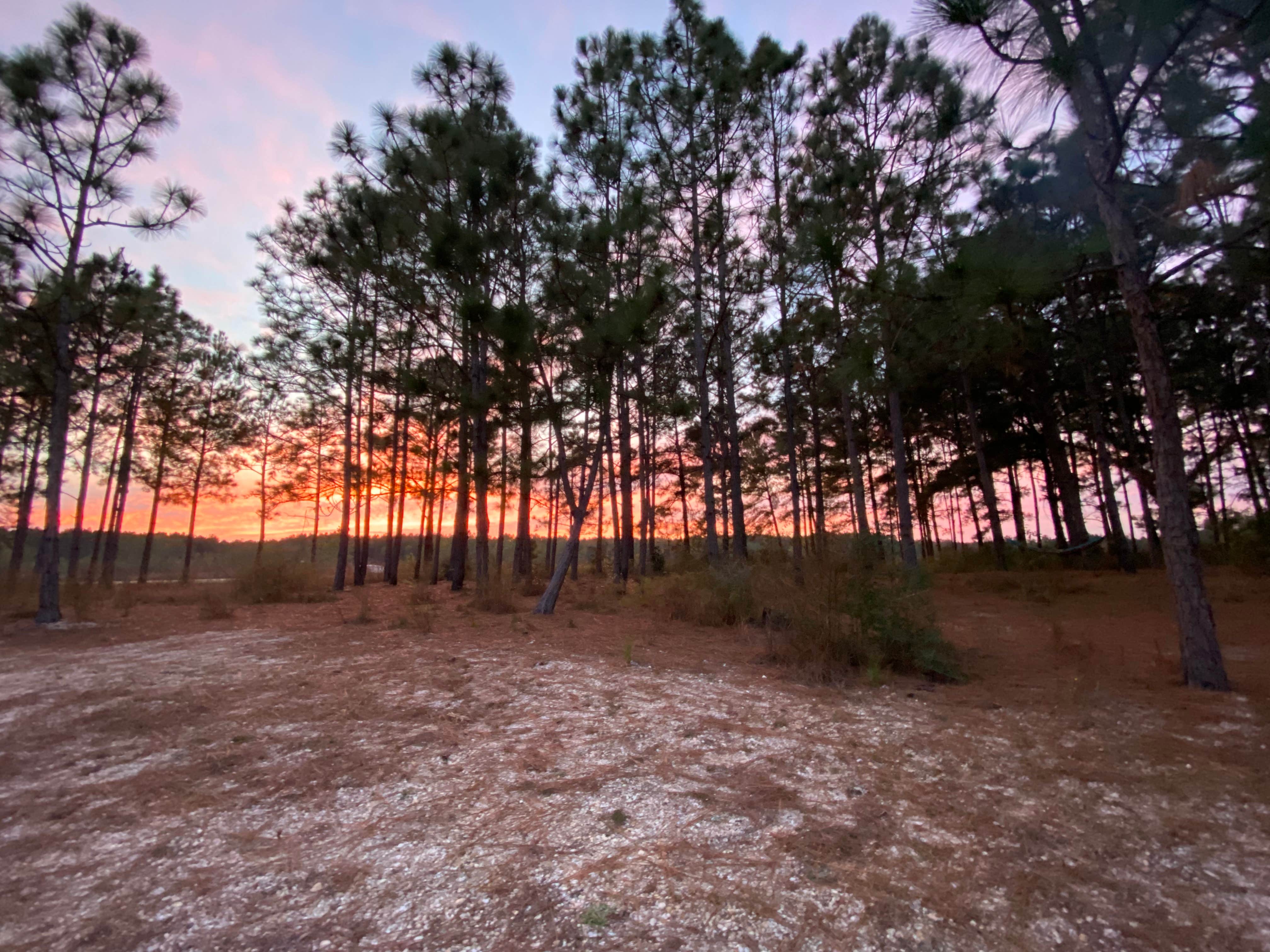 Camper-submitted photo at Magnolia Branch Wildlife Reserve near Uriah, AL