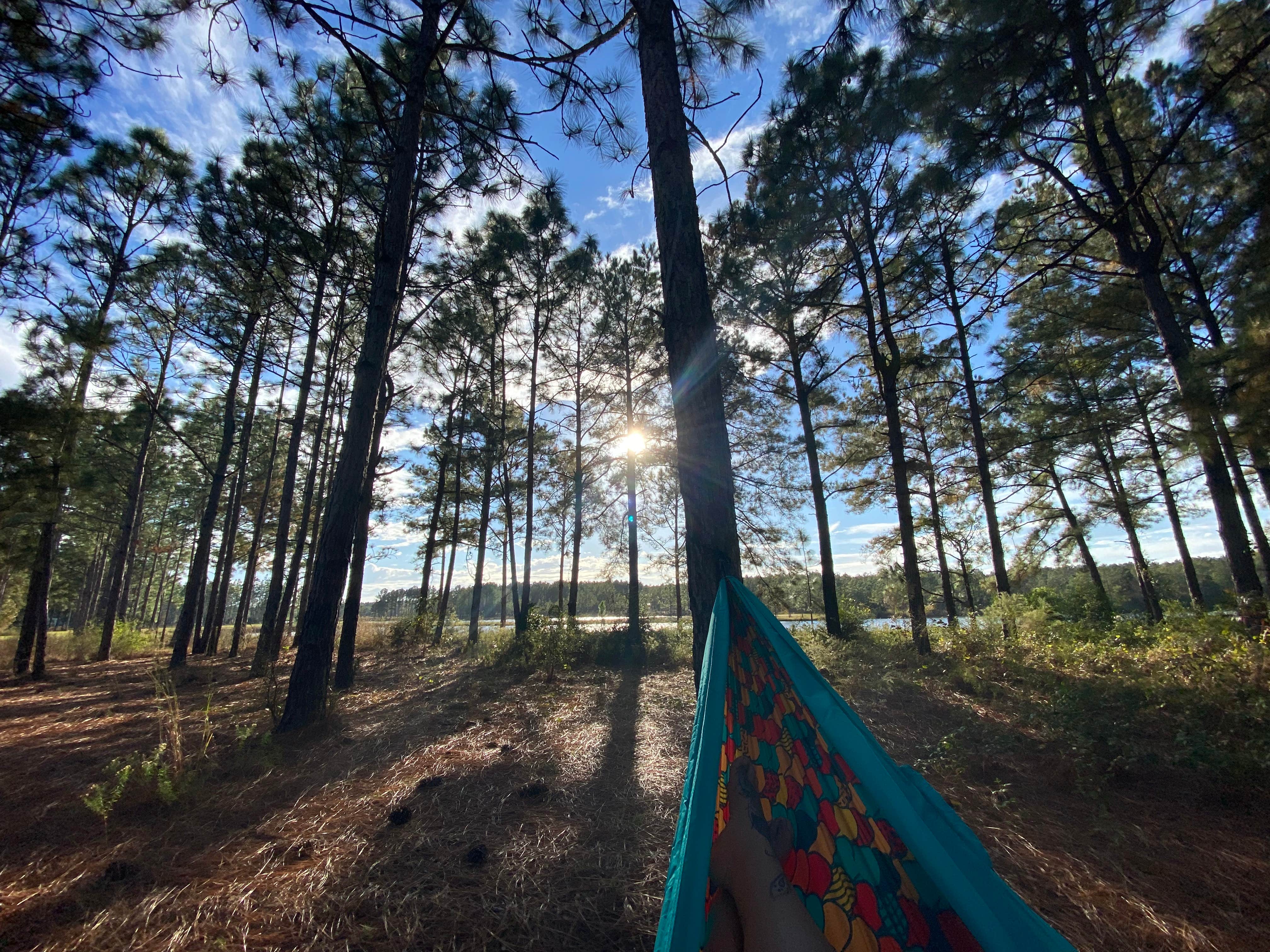 Caitlin M.'s photo at Magnolia Branch Wildlife Reserve near Bay Minette, AL