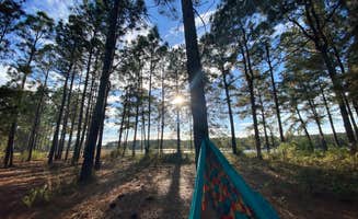Caitlin M.'s photo at Magnolia Branch Wildlife Reserve near Perdido, AL