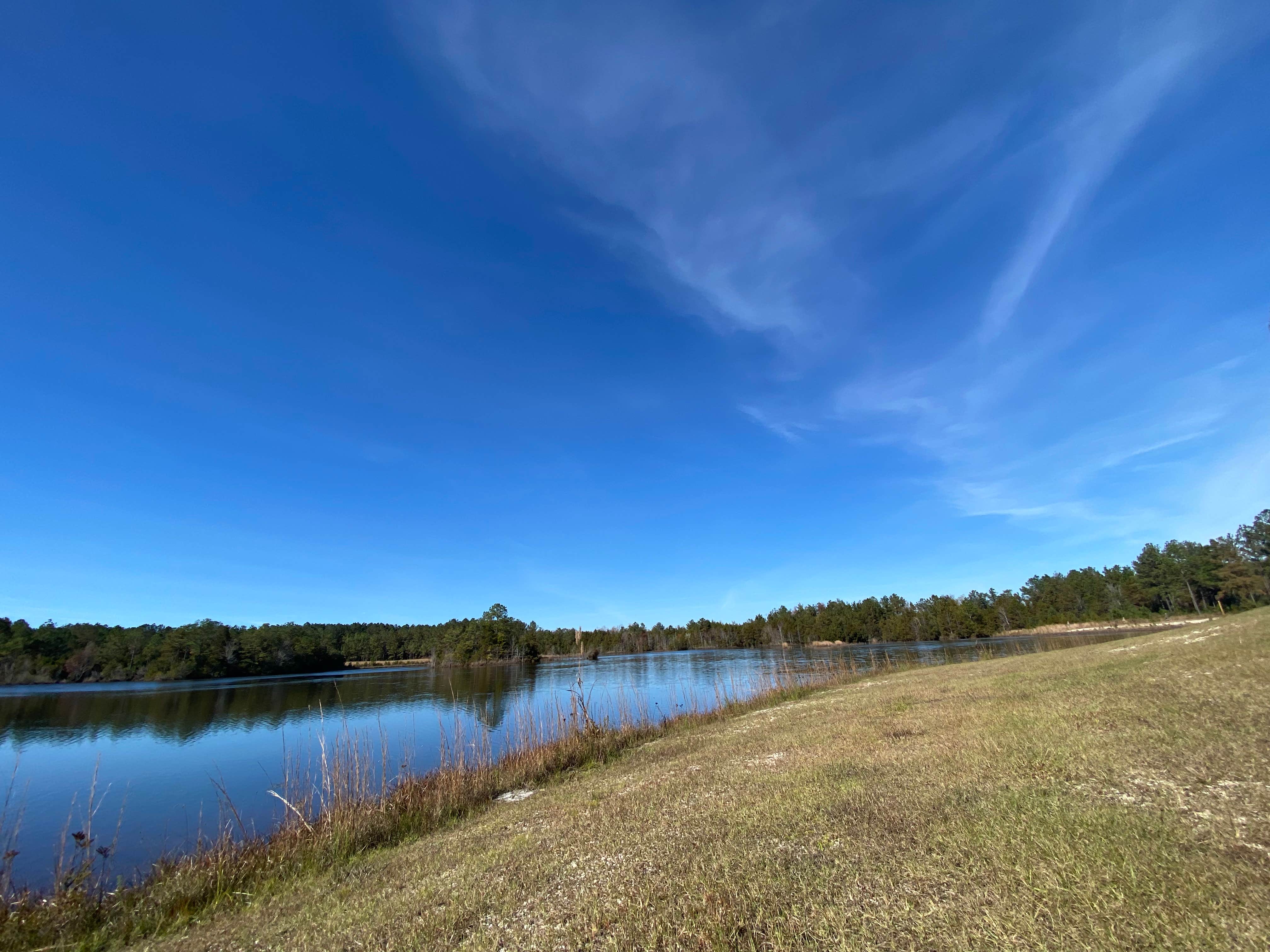 Camper-submitted photo at Magnolia Branch Wildlife Reserve near Uriah, AL
