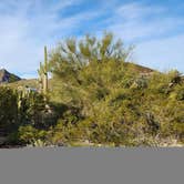 Review photo of Twin Peaks Campground — Organ Pipe Cactus National Monument by Bill , December 27, 2022