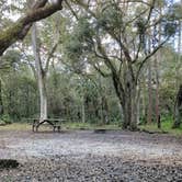 Review photo of Hillsborough River State Park Campground by James G., December 28, 2022