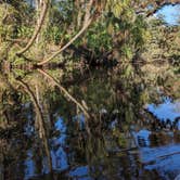 Review photo of Hillsborough River State Park Campground by James G., December 28, 2022