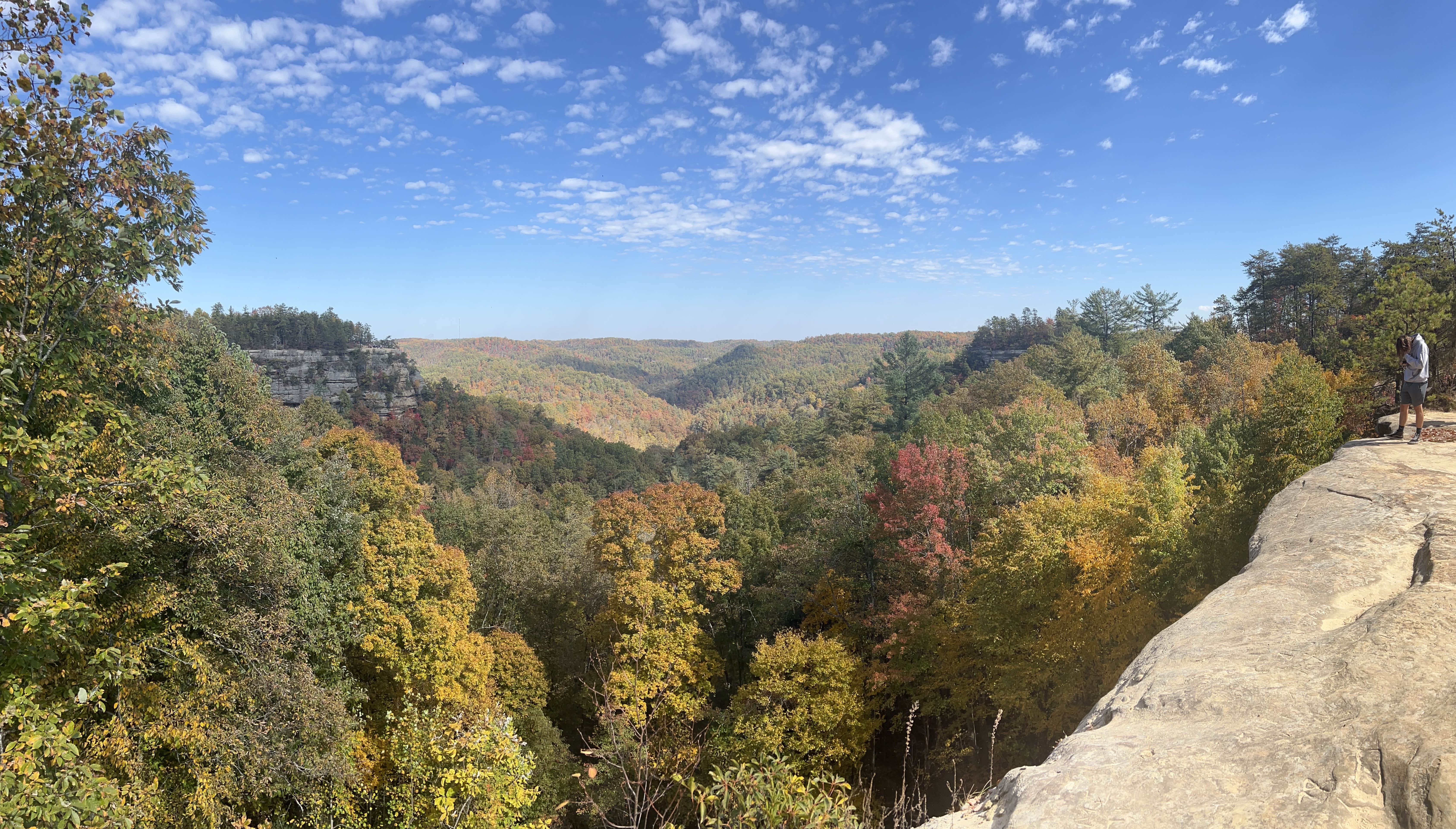 Olivia S.'s photo of camping with pets at Red River Gorge Campground near Daniel Boone National Forest