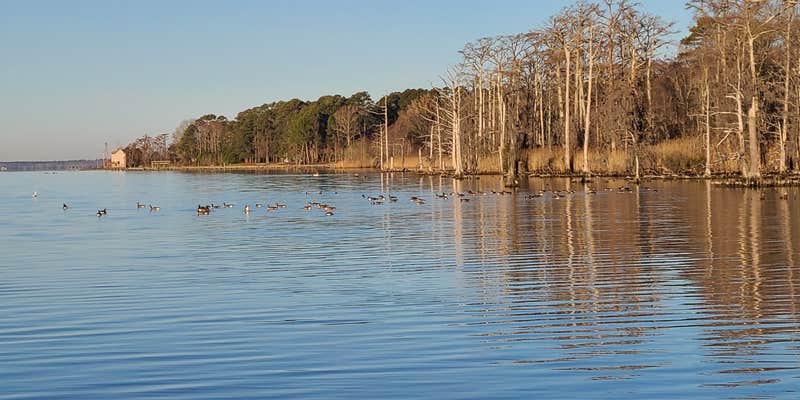 Camper submitted image from SLA