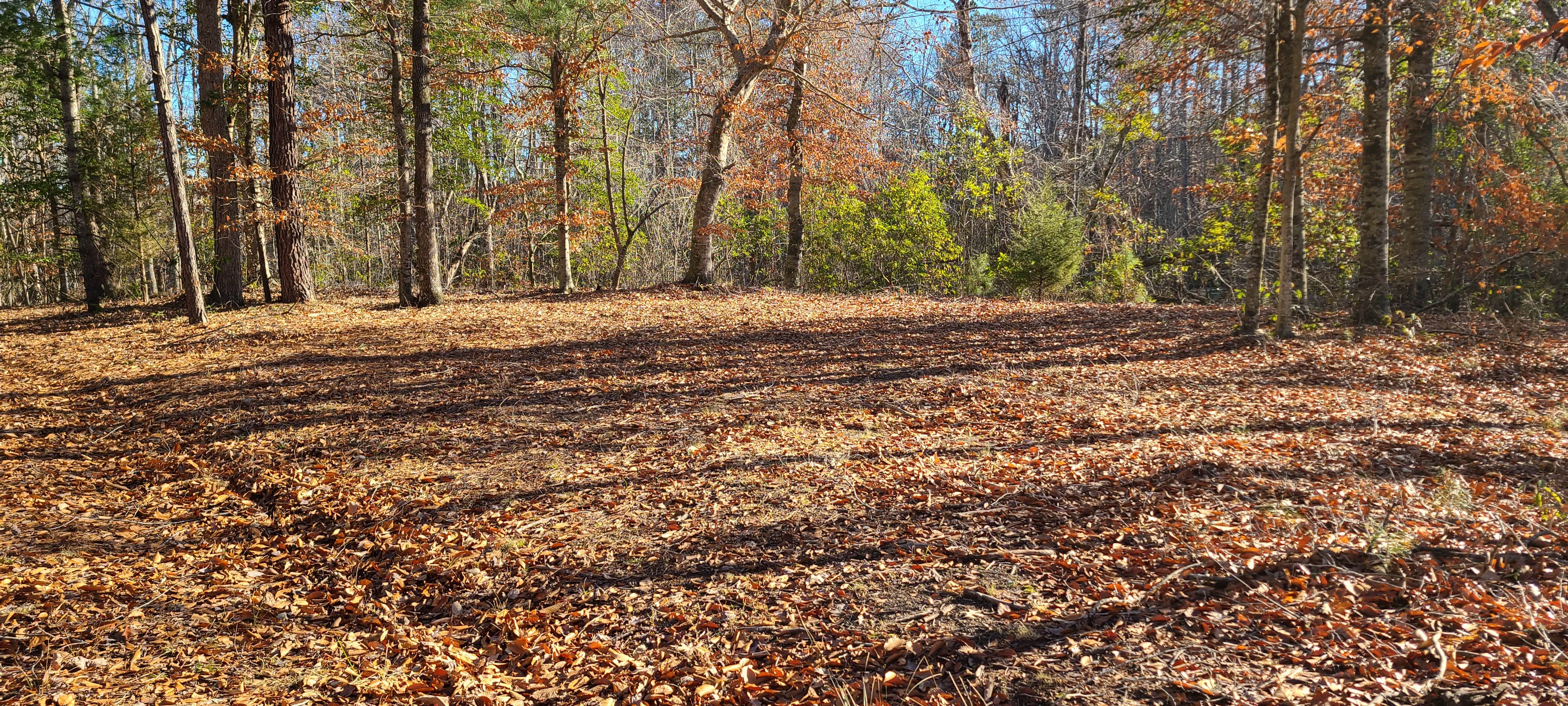 Camper-submitted photo at SLA near Creswell, NC