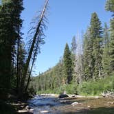 Review photo of Clark Fork Campground by Aaron S., August 11, 2016