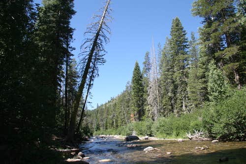 Camper submitted image from Clark Fork Campground - 3