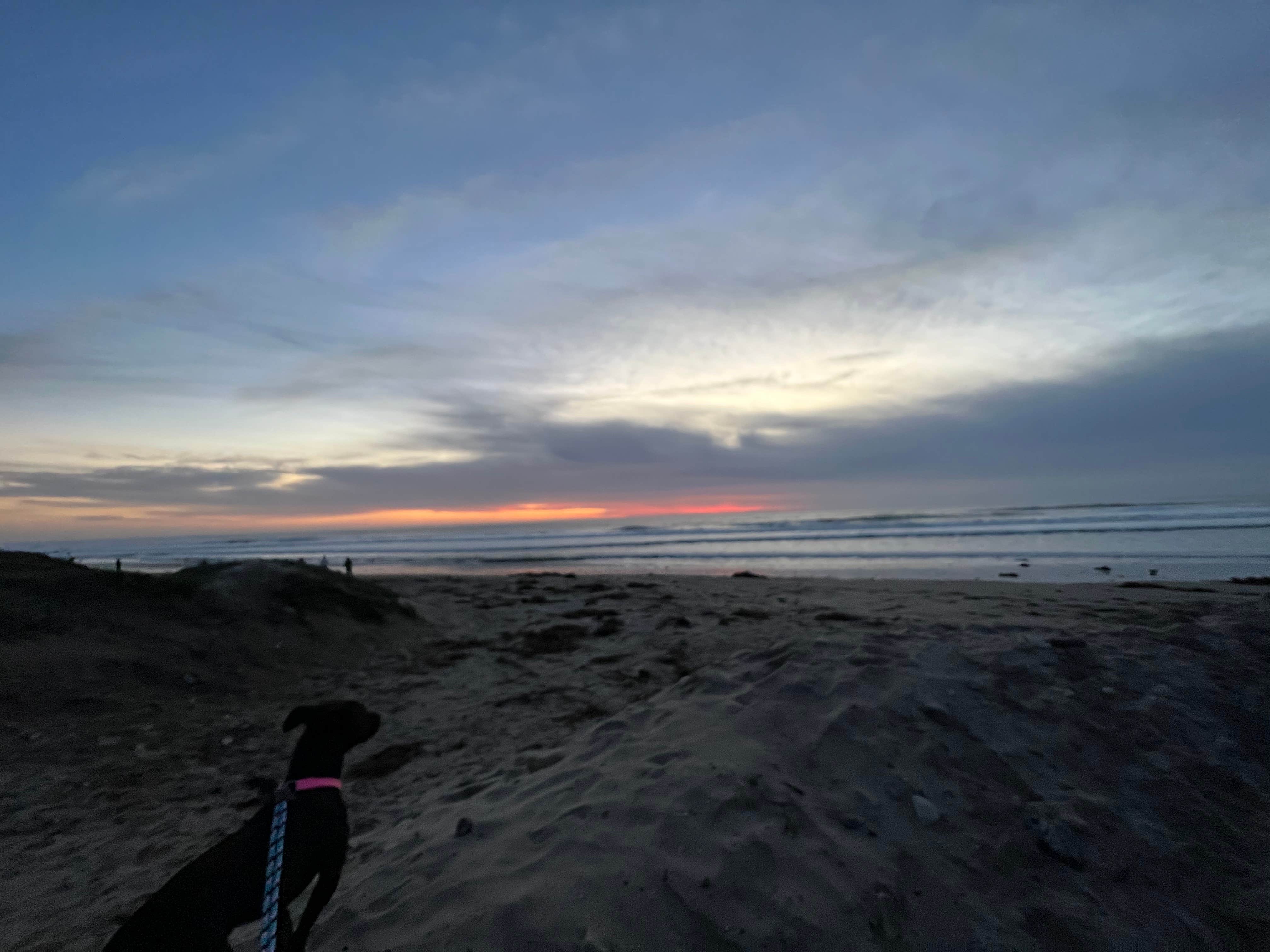 Care B.'s photo of camping with pets at Jalama Beach County Park near Orcutt, CA