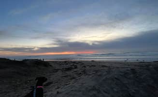 Care B.'s photo of camping with pets at Jalama Beach County Park near Santa Maria, CA