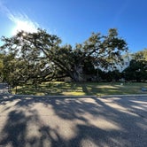 Review photo of Buccaneer State Park Campground by Kerstin M., December 29, 2022