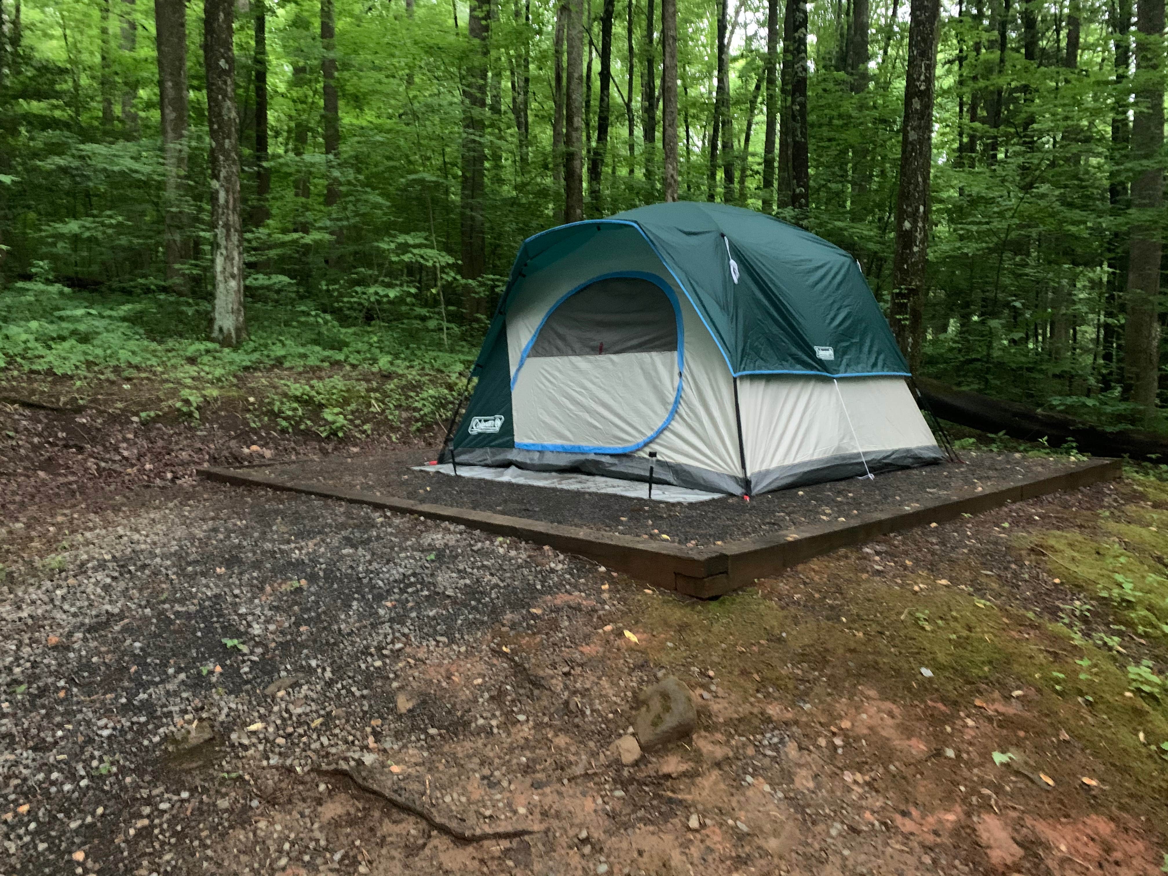 Nick P.'s photo of tent camping at Cosby Campground — Great Smoky Mountains National Park near Limestone, TN