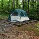 Review photo of Cosby Campground — Great Smoky Mountains National Park by Nick P., December 29, 2022