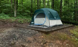 Nick P.'s photo at Cosby Campground — Great Smoky Mountains National Park near Hartford, TN