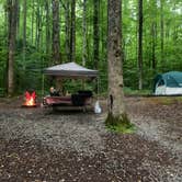 Review photo of Cosby Campground — Great Smoky Mountains National Park by Nick P., December 29, 2022